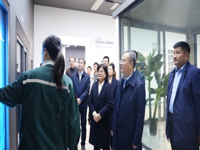 省工信廳總工程師、二級(jí)巡視員孫京軍一行 蒞臨卓越精工調(diào)研指導(dǎo)